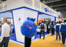 Afternoon reception at the US High Bush Blueberry Council with a warm welcome.